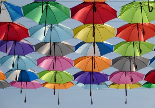 Paraguas transparentes
